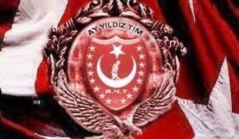 Ayyıldız Tim - Hizmetlerimiz